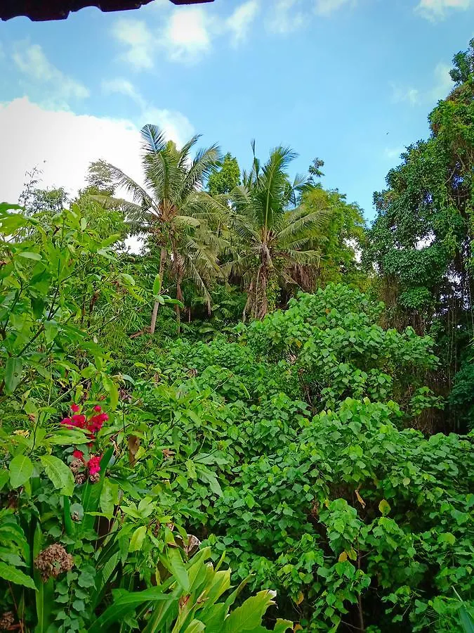 Karma House Apartment Ubud  Homestay Ubud (Bali)