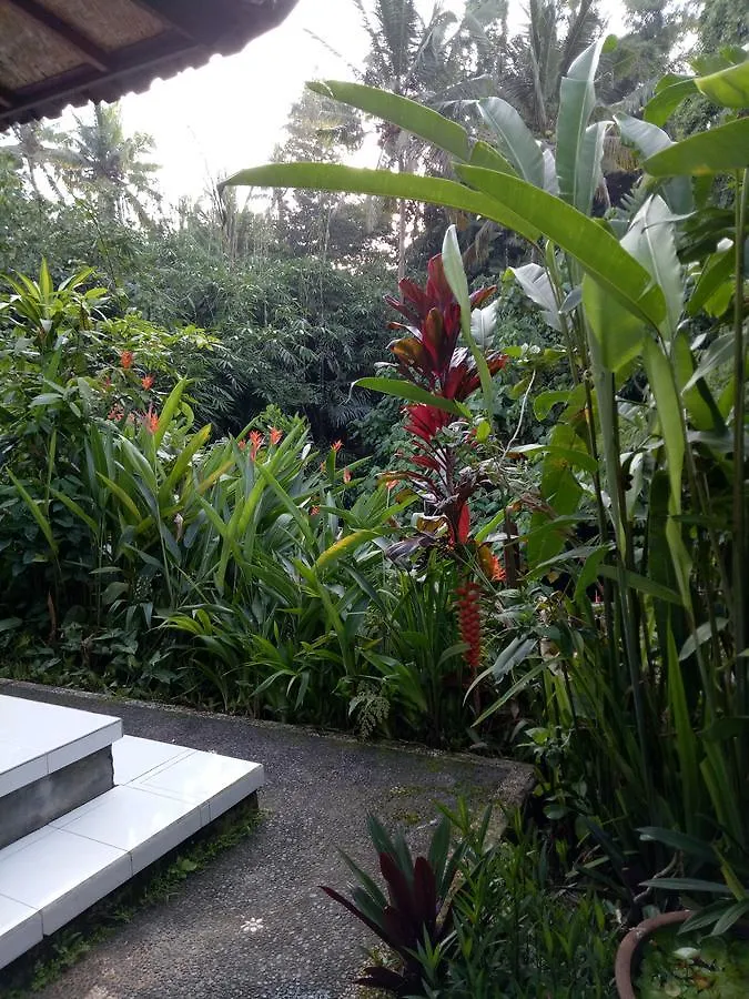 Homestay Karma House Apartment Ubud  Indonesia