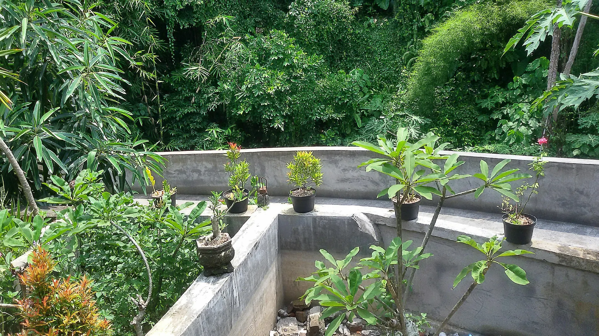 Karma House Apartment Ubud  Homestay Ubud (Bali)