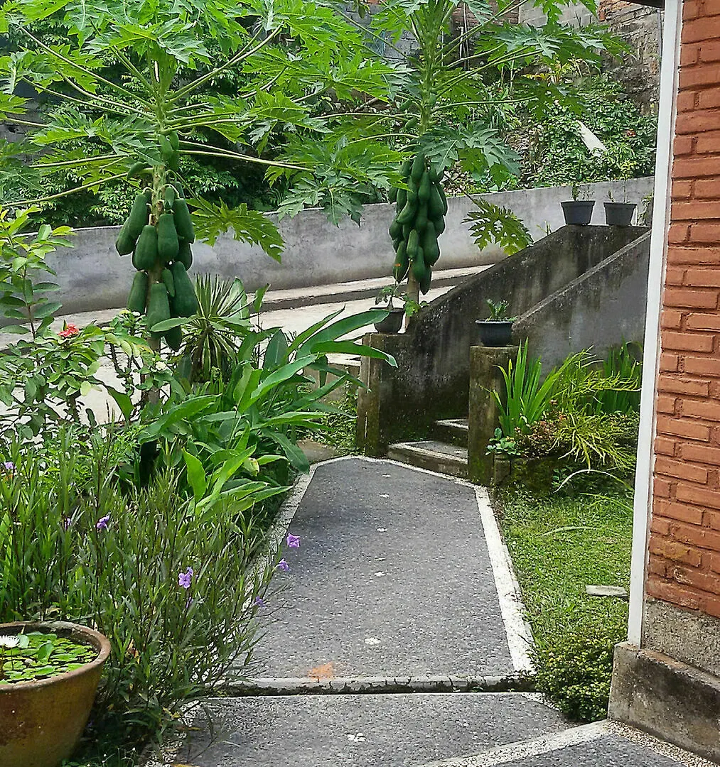Homestay Karma House Apartment Ubud